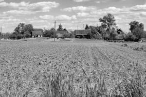 Photography on theme big empty farm field for organic harvest photo