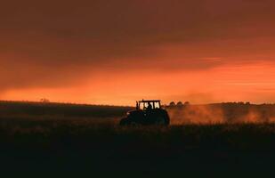 ai generado un tractor es conducción en el campo a puesta de sol foto