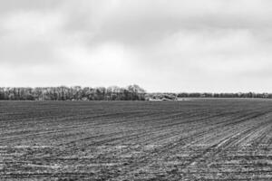 Photography on theme big empty farm field for organic harvest photo