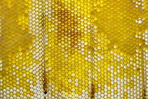 Drop of bee honey drip from hexagonal honeycombs filled with golden nectar photo