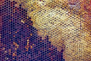 Drop of bee honey drip from hexagonal honeycombs filled with golden nectar photo