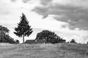 Beautiful horizon scenery in village meadow on color natural background photo