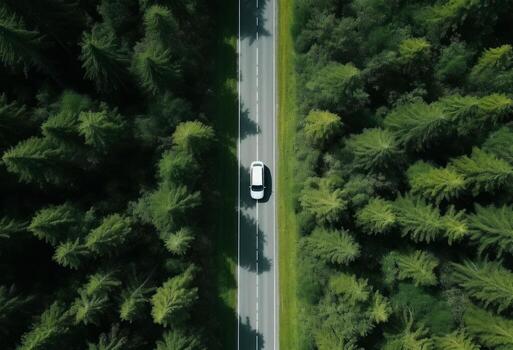 AI generated aerial view of a road in a forest road photo