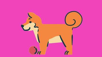 2d animated dog video