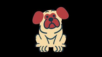 2d animated dog video