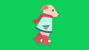 2d animated dog video