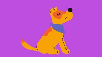 2d animated dog video