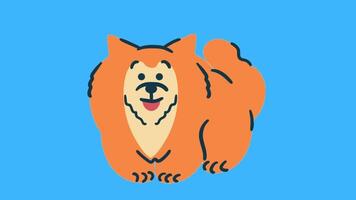 2d animated dog video