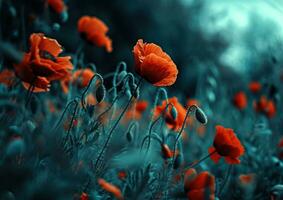 AI generated an image shows a field of red poppies photo