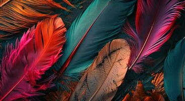 AI generated colorful feathers in several colors on a dark background photo