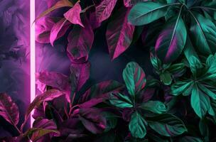 AI generated neon frame on dark background on the purple background with green leaves photo