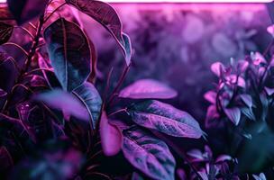 AI generated neon frame on dark background on the purple background with green leaves photo