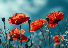 AI generated four red poppies with a blue sky photo