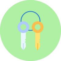 Surrogate Key Vector Icon