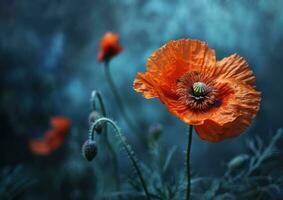 AI generated poppy flower flowers poppy photo