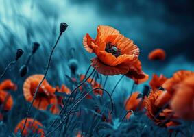 AI generated poppy flower flowers poppy photo