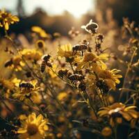 ai generado muchos abejas son en Entre amarillo flores foto