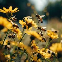 ai generado muchos abejas son en Entre amarillo flores foto