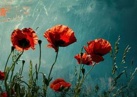 AI generated four red poppies with a blue sky photo