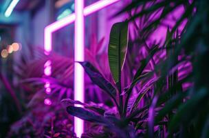 AI generated neon lights in the jungle frame photo