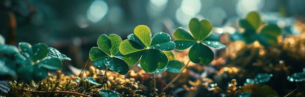 AI generated st patrick's day gold clovers photo