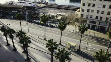 View of a tropical city from the top of a palm tree. Stock. Top view of the palm trees in city photo