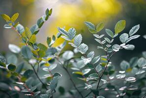 AI generated green leaves and green branches in full bokeh effect photo