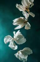 AI generated floating white flower petals on green background float photo