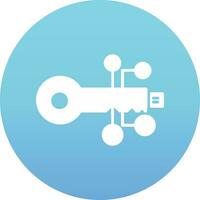 digital key Vector Icon