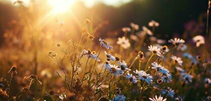 ai generado un campo lleno con vistoso flores con luz de sol detrás ellos foto