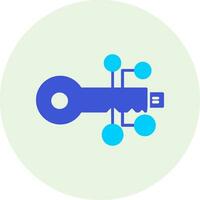 digital key Vector Icon