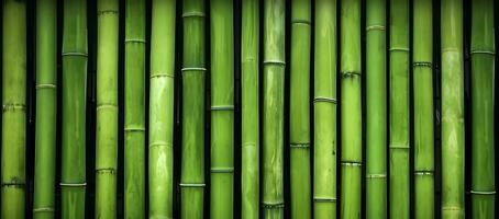 AI generated Natural green bamboo background. photo