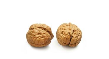 Walnuts isolated on white background photo