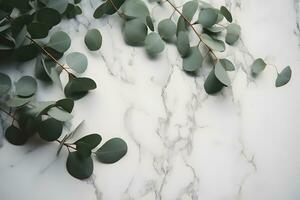 AI generated Branches of eucalyptus leaves on a marble background photo