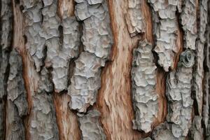 AI generated textured background of old pine wood, with large elements of bark and the resin drips photo