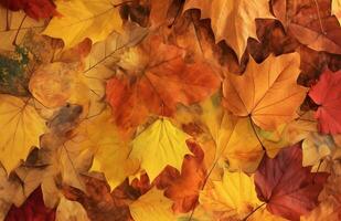 AI generated Autumn background of yellow and red maple leaves on the ground photo