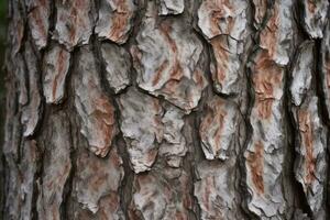 AI generated textured background of old pine wood, with large elements of bark and the resin drips photo