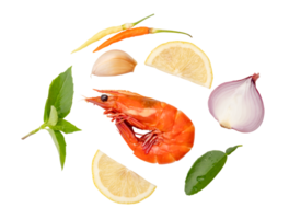 Single red cooked prawn or shrimp with spice or seasoning in set prepared for Thai prawn soup isolated with clipping path in png file format