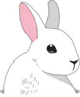 Minimal bunny line art doodle cartoon PNG