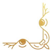 luxe wijnoogst hoek kader goud kleur element. klassiek kolken verdeler patroon ornament. filigraan ontwerp kalligrafische decoratie voor kader, groet kaart, uitnodiging, menu, certificaat. png