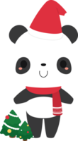 süß Panda Bär Karikatur Zeichen im festlich Weihnachten Urlaub Jahreszeit Konzept. eben Design Illustration. png