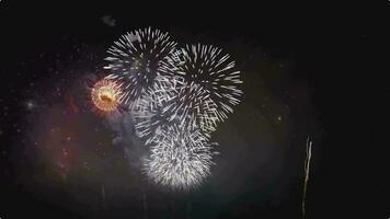 feux d'artifice dans le ciel nocturne video