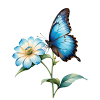 waterverf clip art blauw Morpho vlinder Aan blauw bloem png