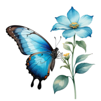 Watercolor Clipart Blue Morpho Butterfly on Blue Flower png