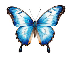 acquerello clipart blu morfo farfalla png