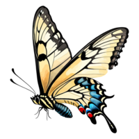 acuarela clipart Tigre cola de golondrina mariposa png