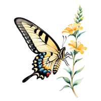 Watercolor Clipart Tiger Swallowtail Butterfly on Flower png