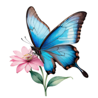 vattenfärg ClipArt skön blå morpho fjäril på rosa blomma png