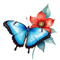 Watercolor Clipart Beautiful Blue Morpho Butterfly on Red Flower png