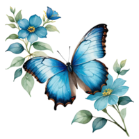 vattenfärg ClipArt blå morpho fjäril på blå blomma png